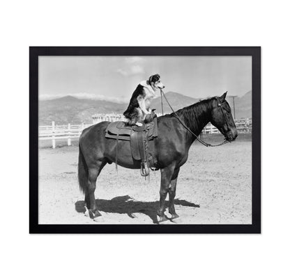 Saddle Up
