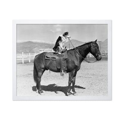 Saddle Up