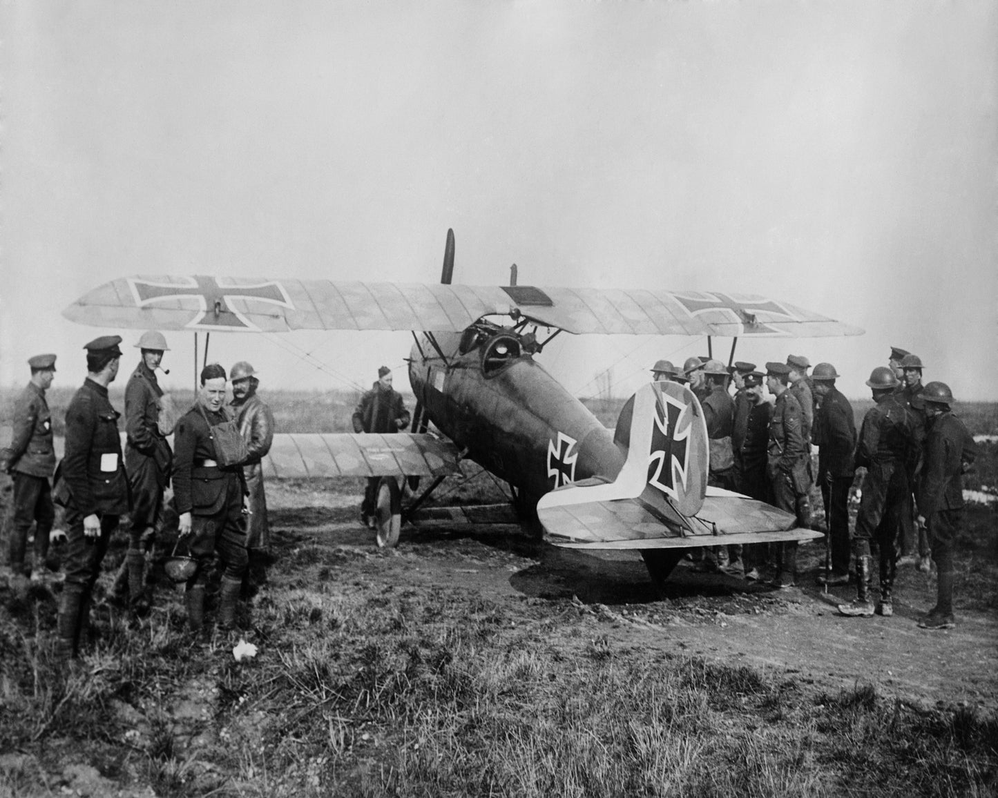 Albatros Fighter 1917