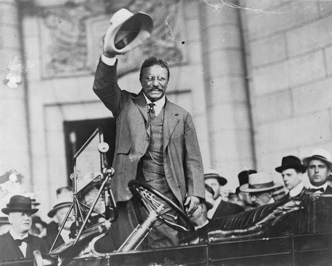 Theodore Roosevelt 1910