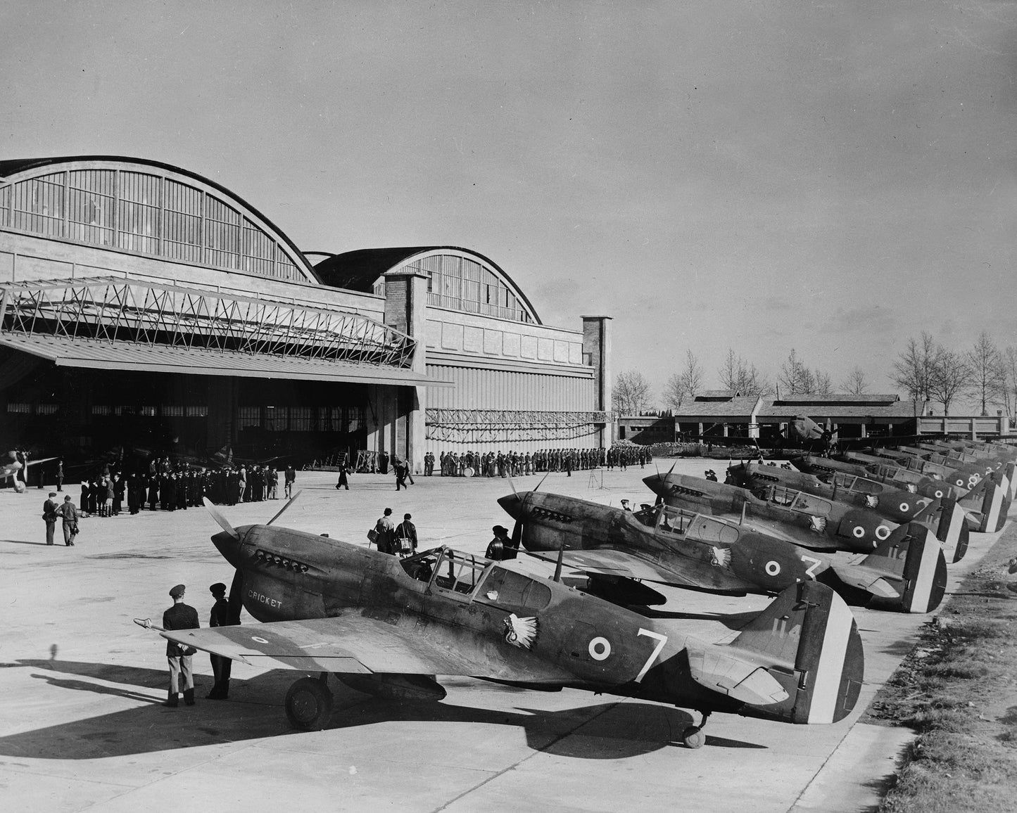 P-40 Warhawks 1943