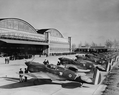 P-40 Warhawks 1943