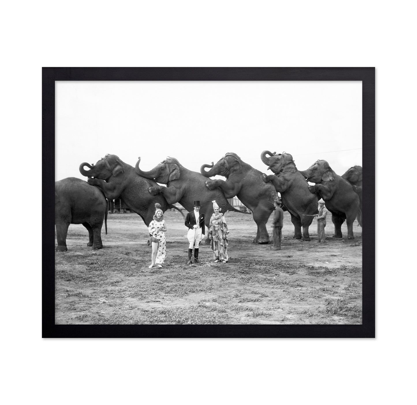 Circus Elephants 1930s