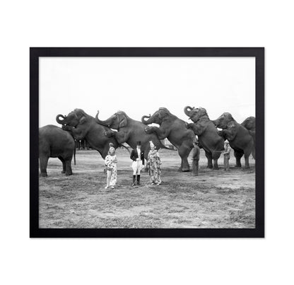 Circus Elephants 1930s