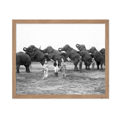Circus Elephants 1930s