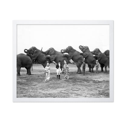 Circus Elephants 1930s
