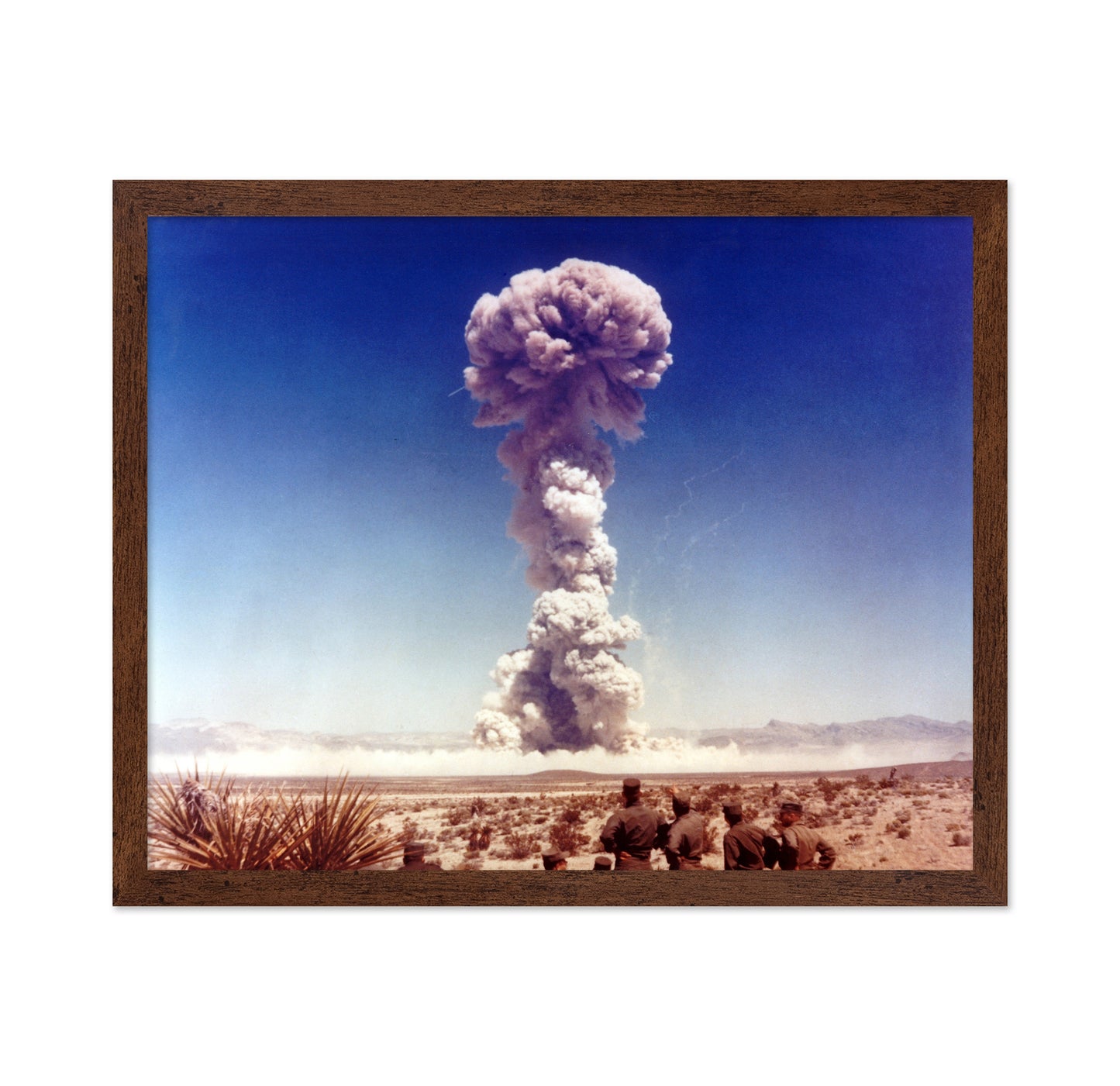 DOG Atomic Test 1951
