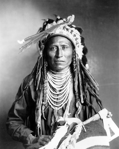 Shoshone Chief 1899