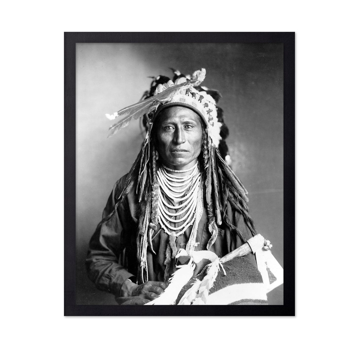 Shoshone Chief 1899