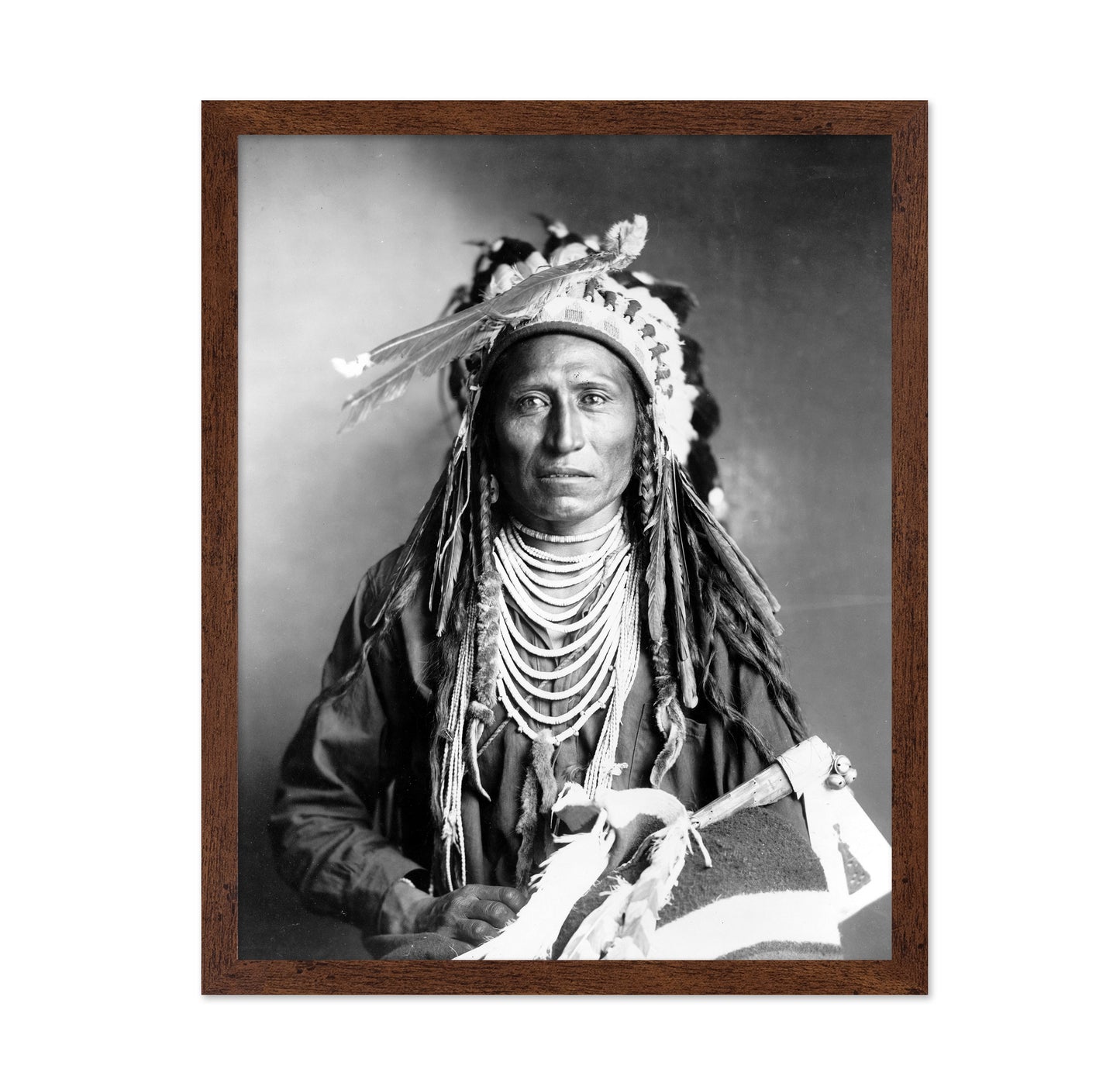 Shoshone Chief 1899