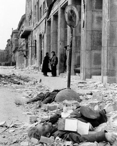Hungarian Uprising 1956