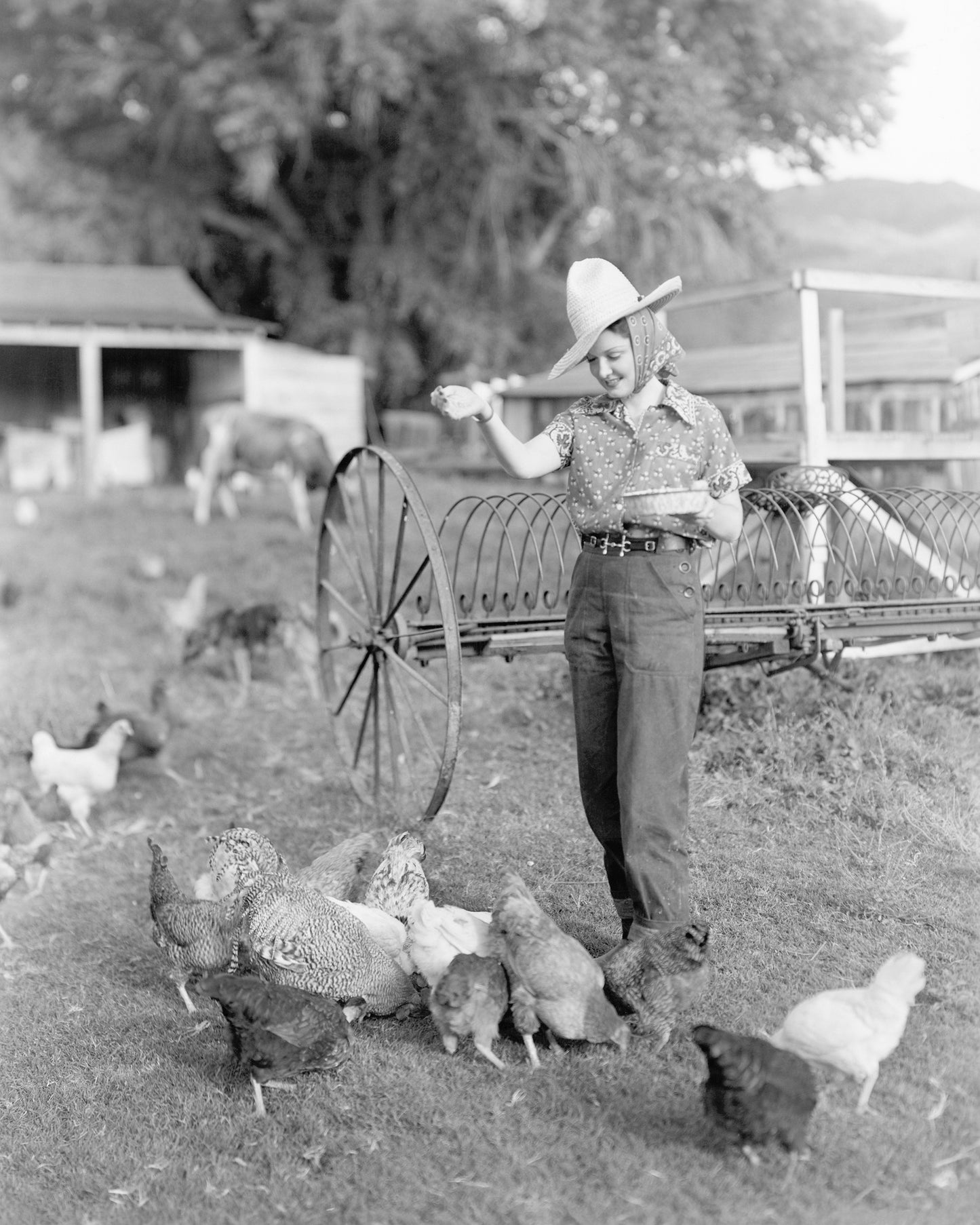 Farm Woman Scene 1940s