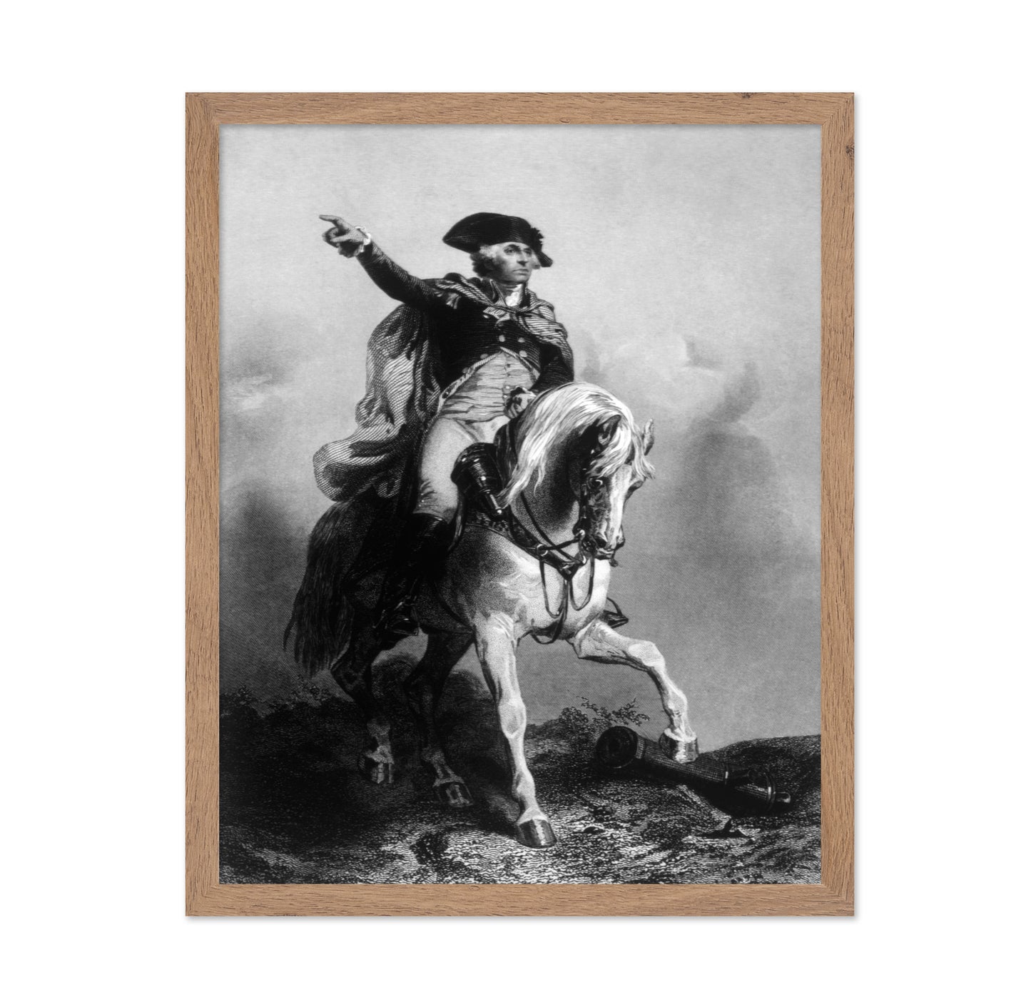 George Washington 1879