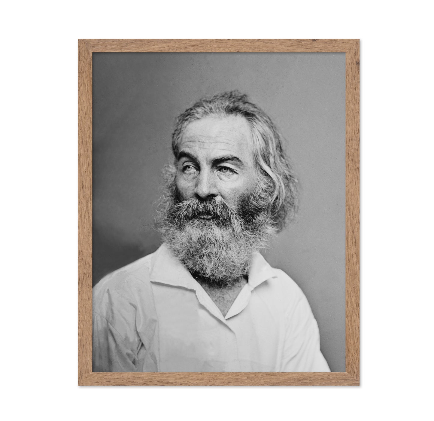 Walt Whitman 1863