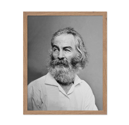 Walt Whitman 1863