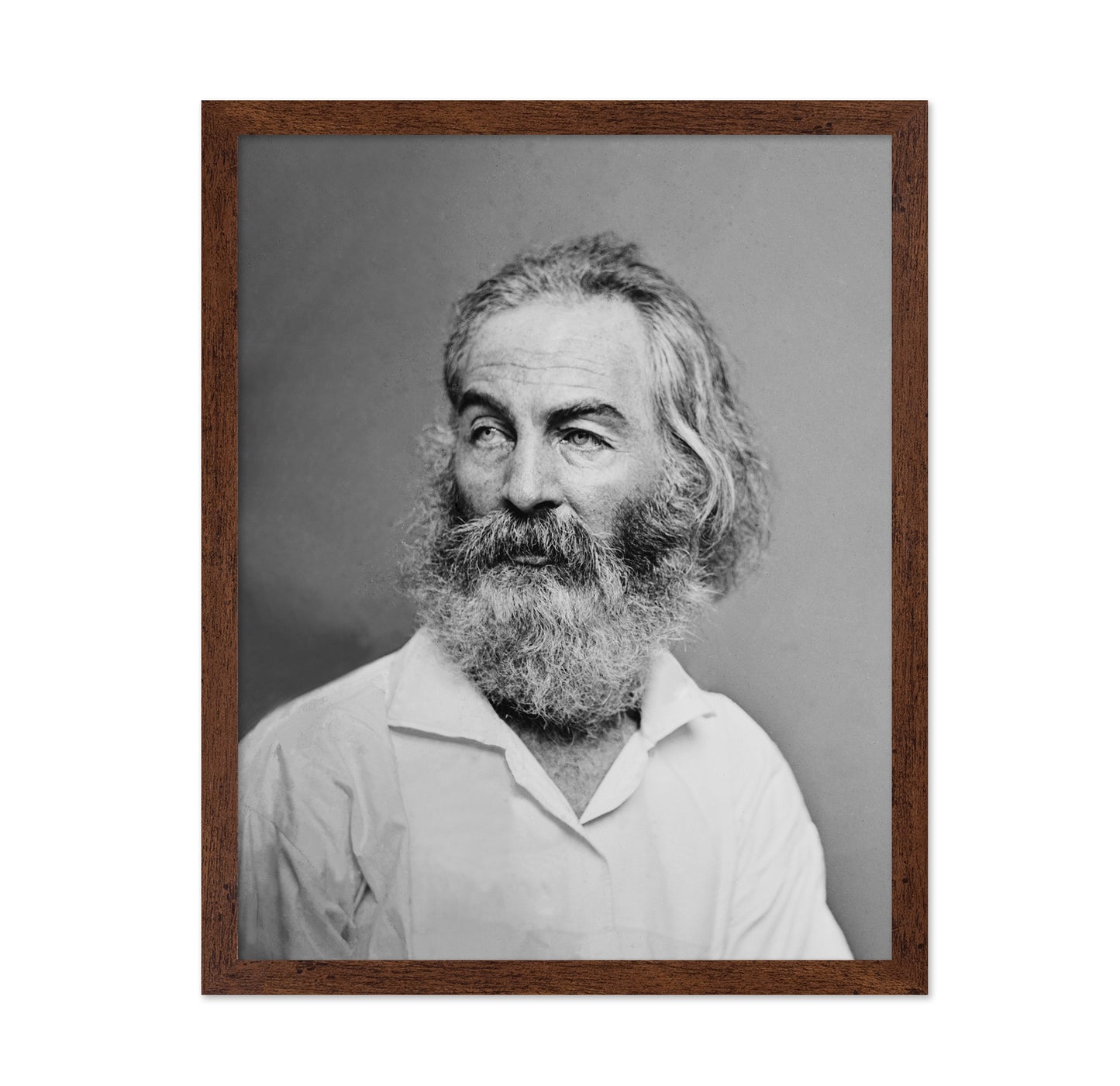 Walt Whitman 1863