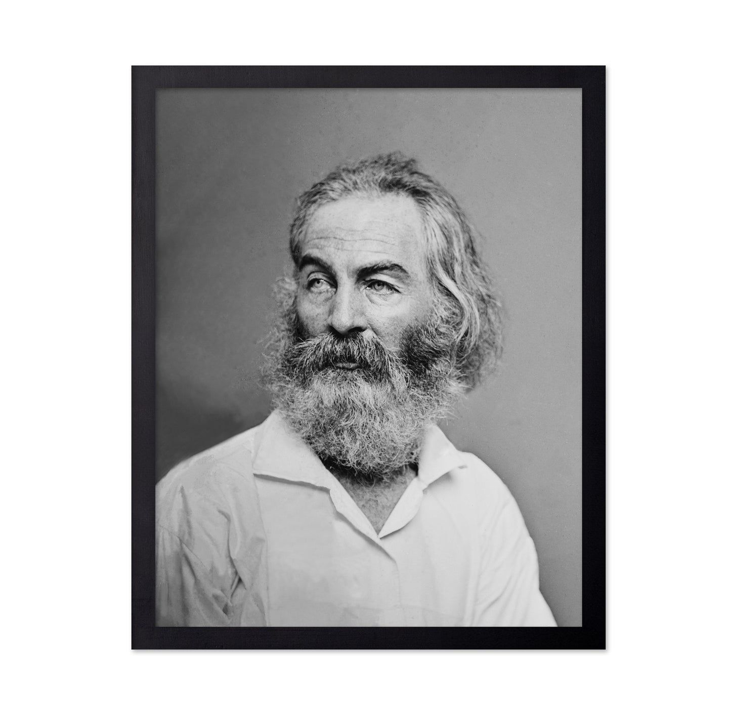 Walt Whitman 1863
