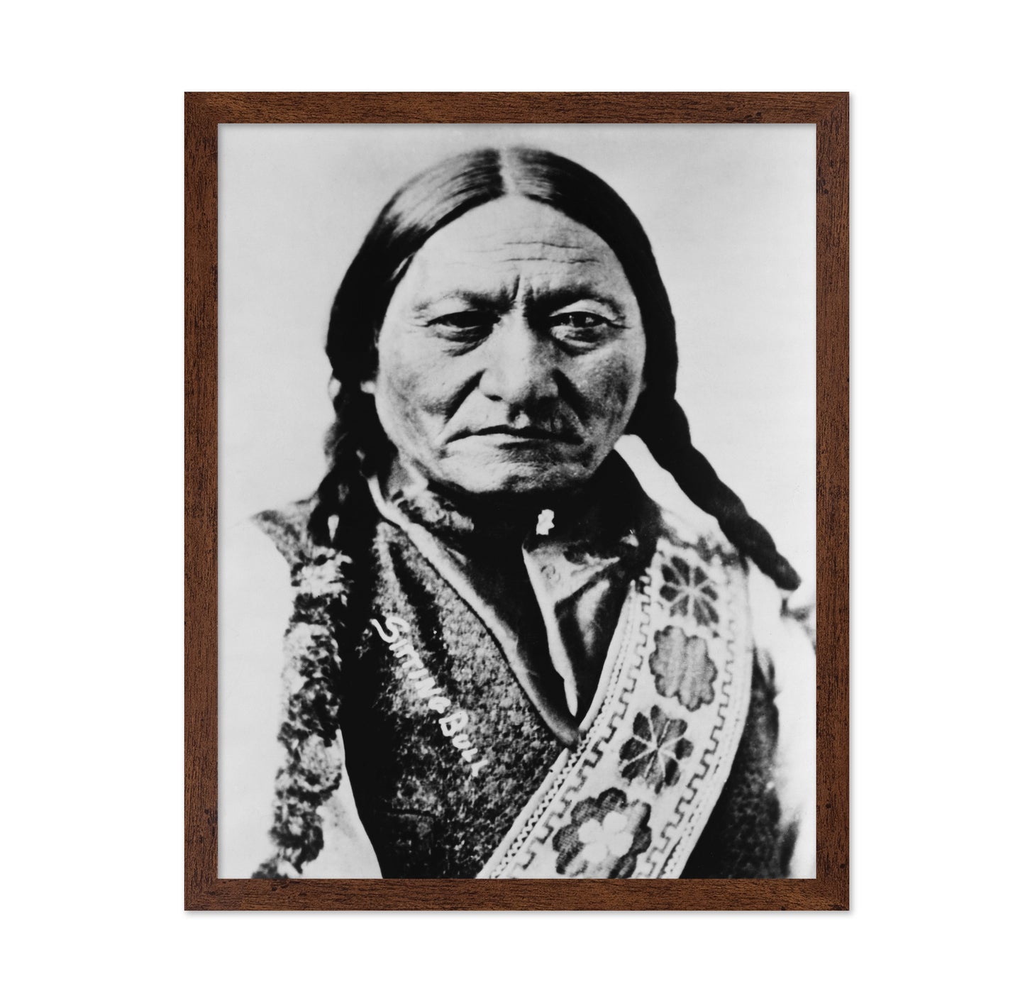 Sitting Bull 1885