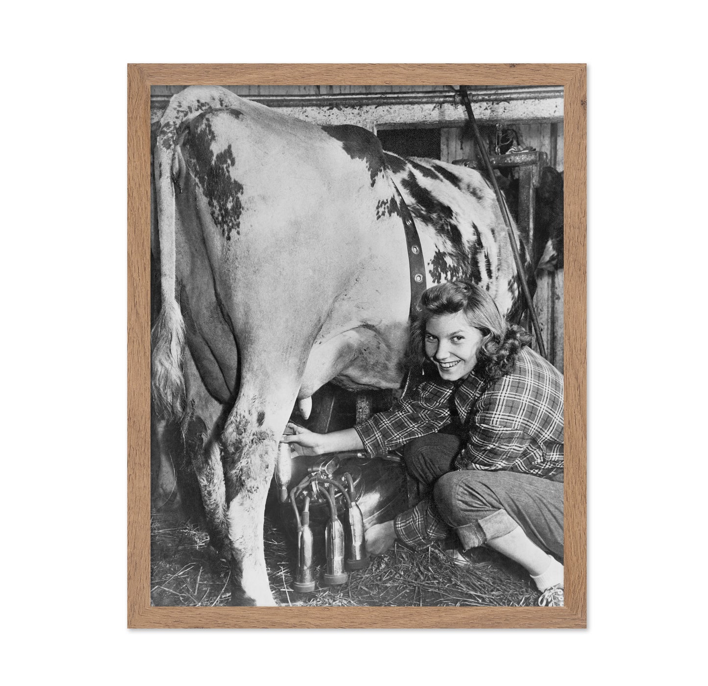 Milking Time 1940s