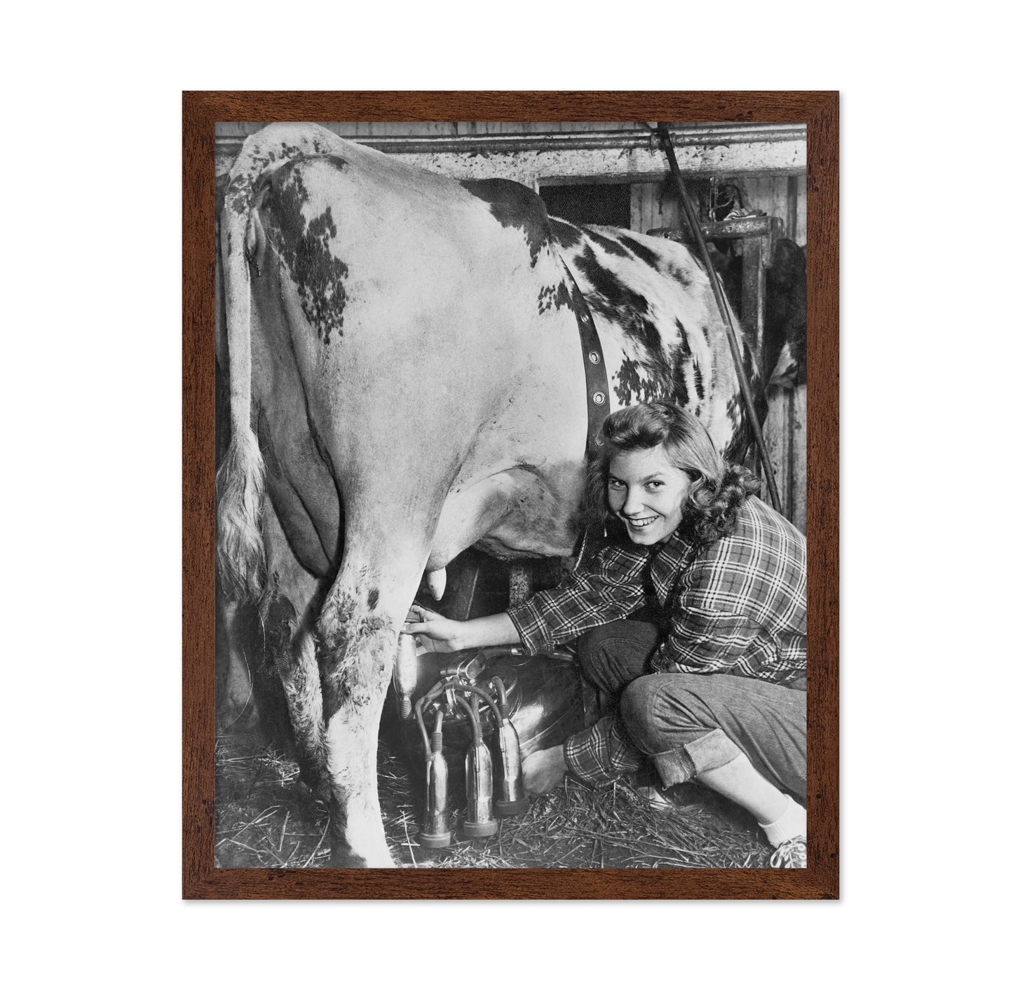 Milking Time 1940s