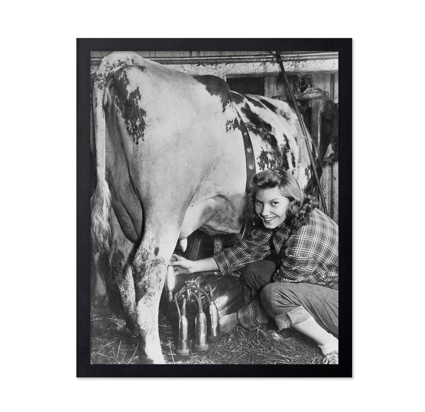 Milking Time 1940s