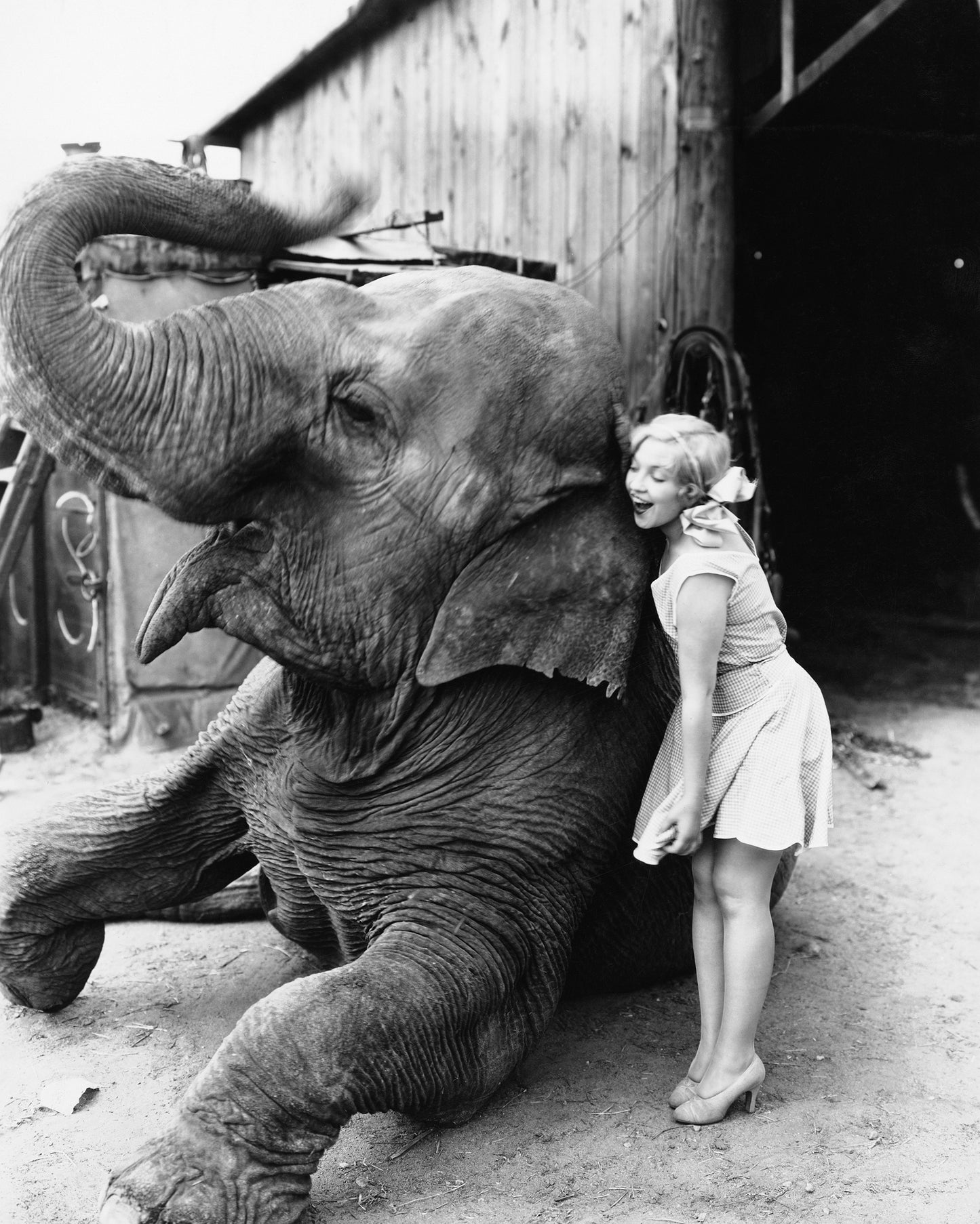 Elephant Hug 1940s