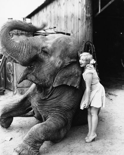Elephant Hug 1940s
