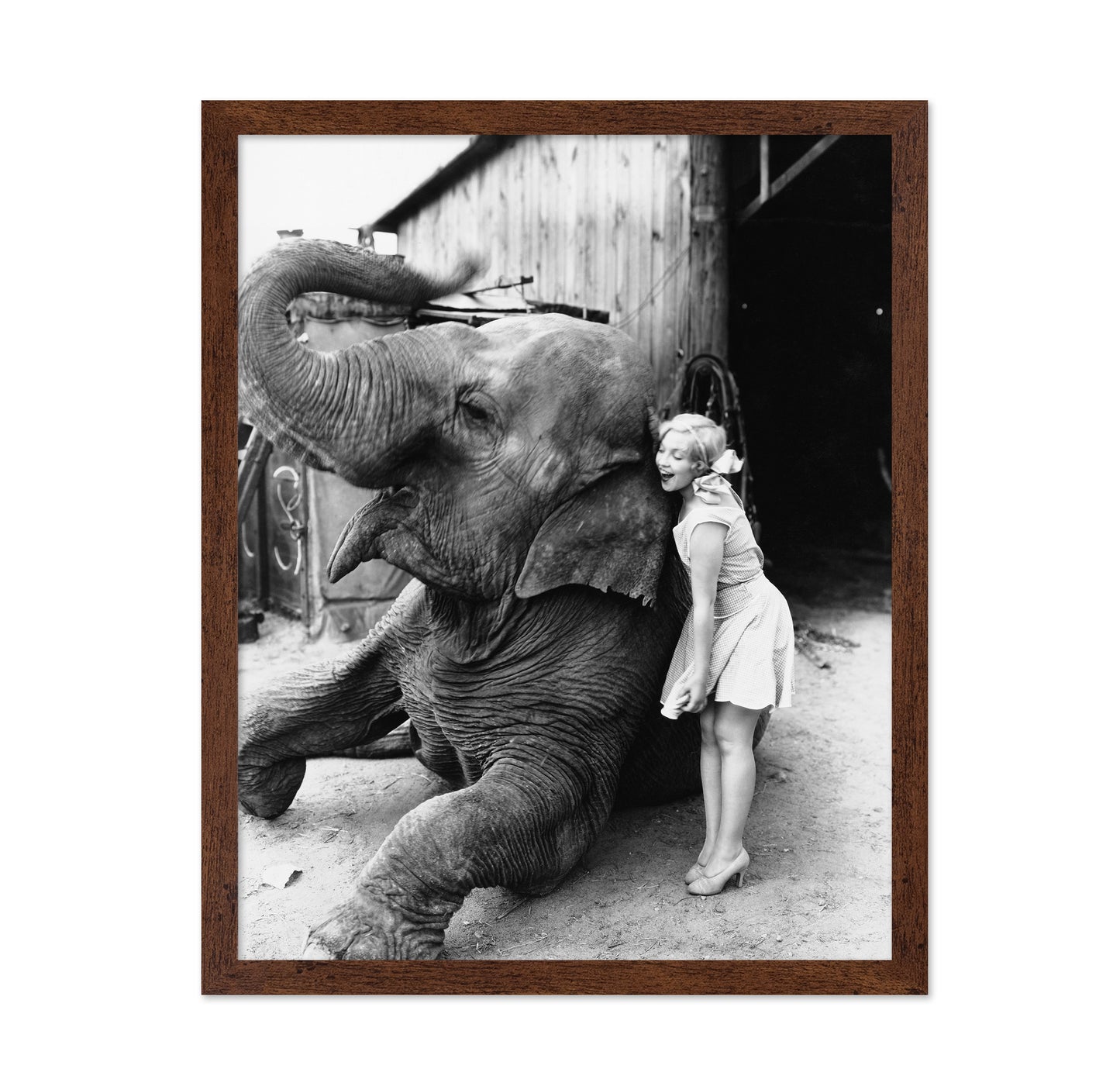 Elephant Hug 1940s