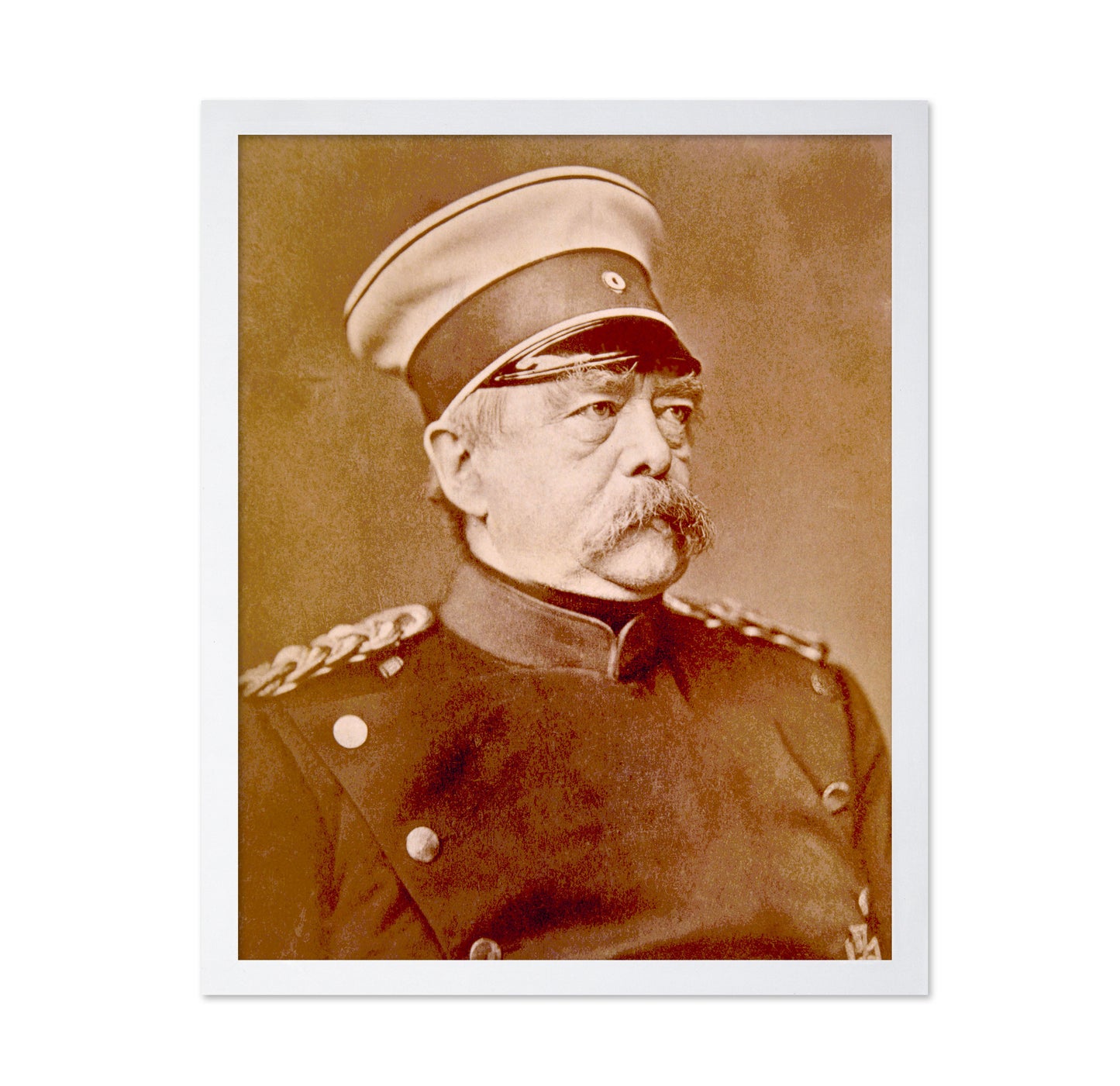 Bismarck Portrait 1880