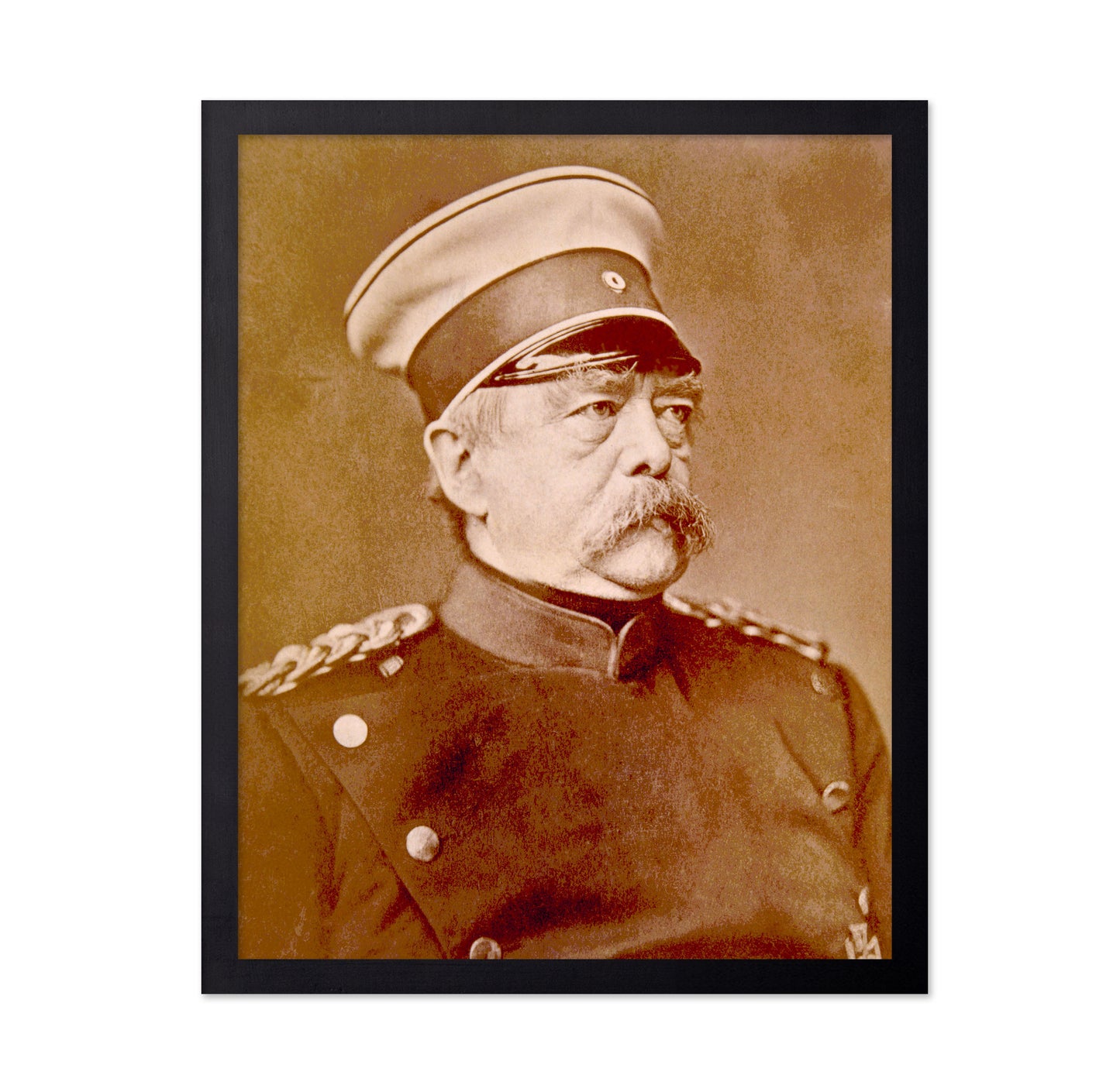 Bismarck Portrait 1880