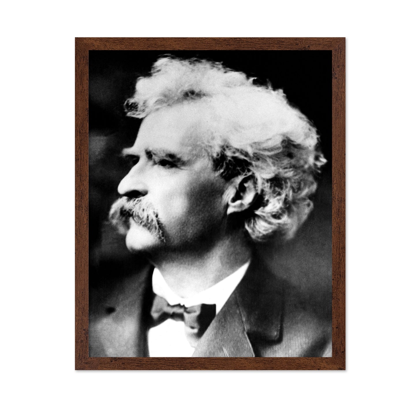 Mark Twain circa 1900