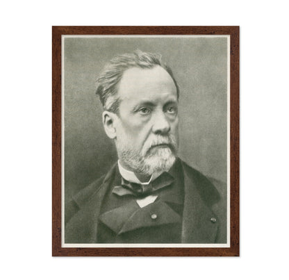 Louis Pasteur 1870
