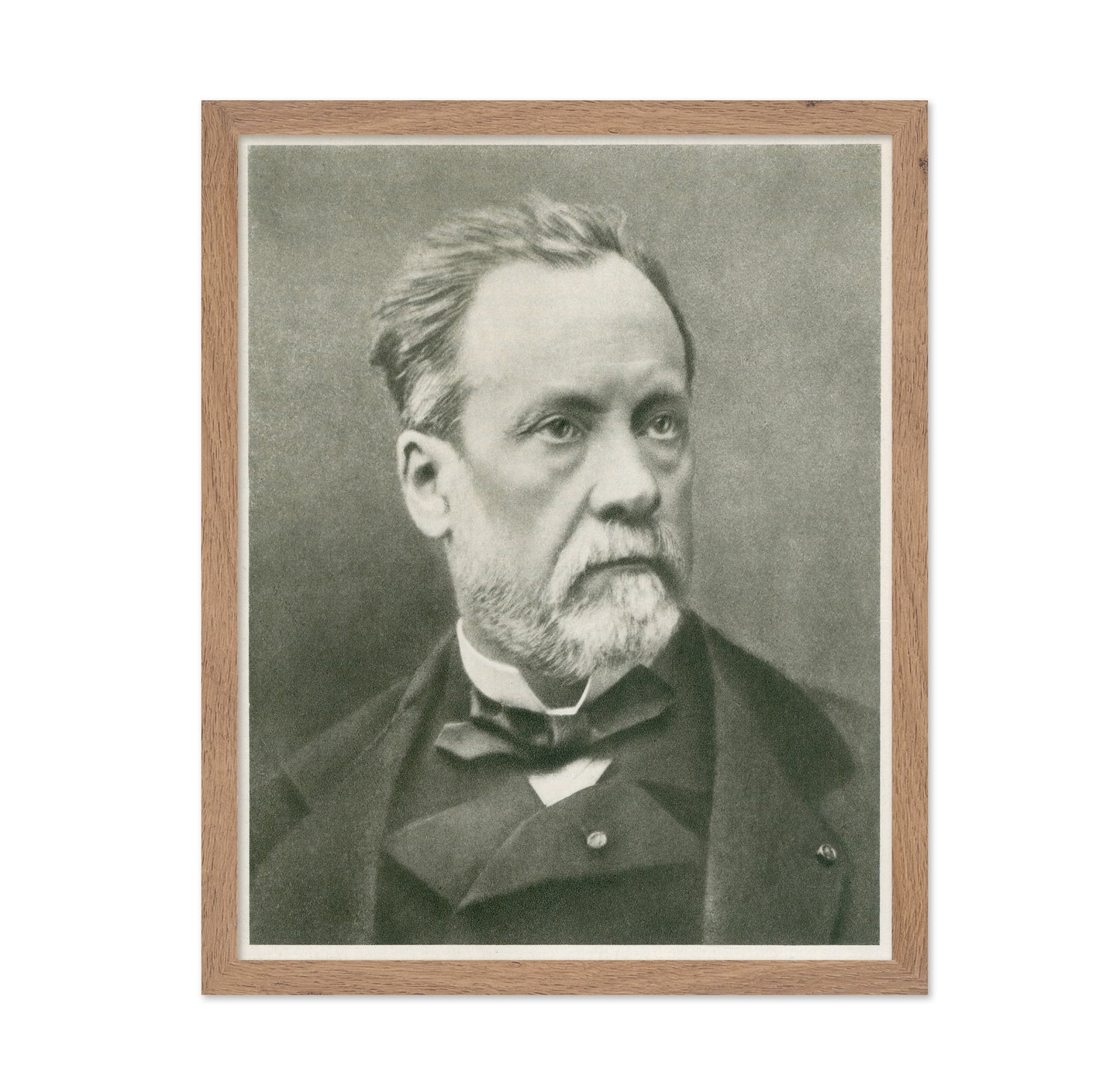 Louis Pasteur 1870