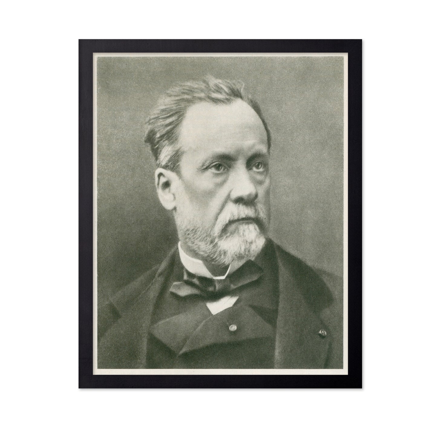 Louis Pasteur 1870