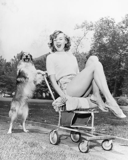 Pushy Pet Dog 1950s