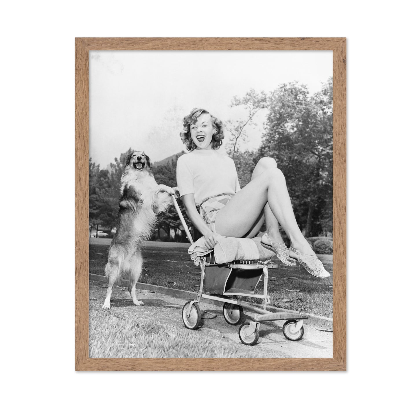 Pushy Pet Dog 1950s