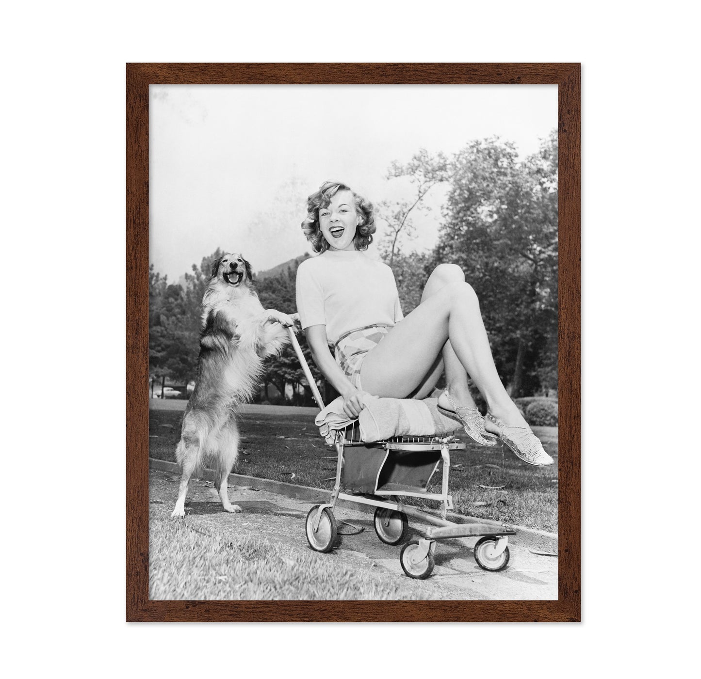 Pushy Pet Dog 1950s