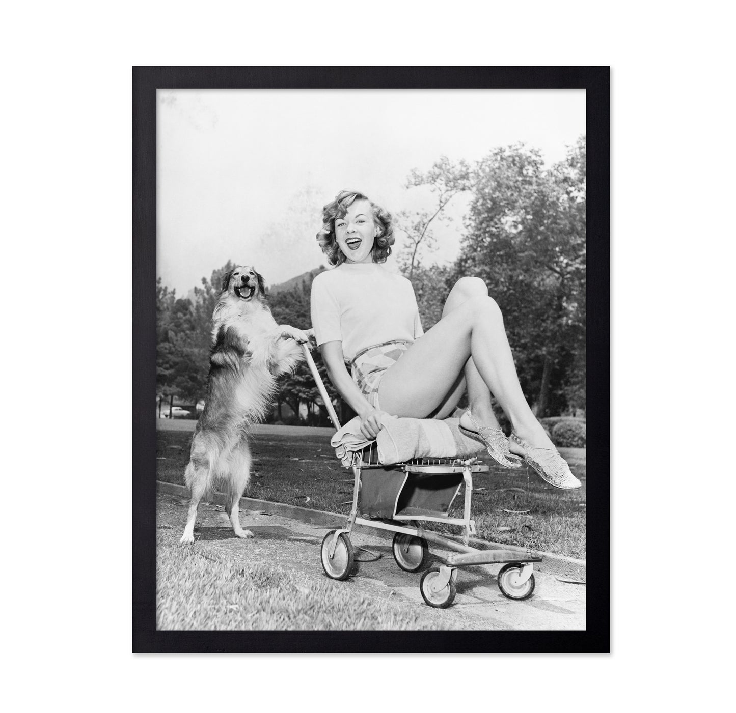 Pushy Pet Dog 1950s