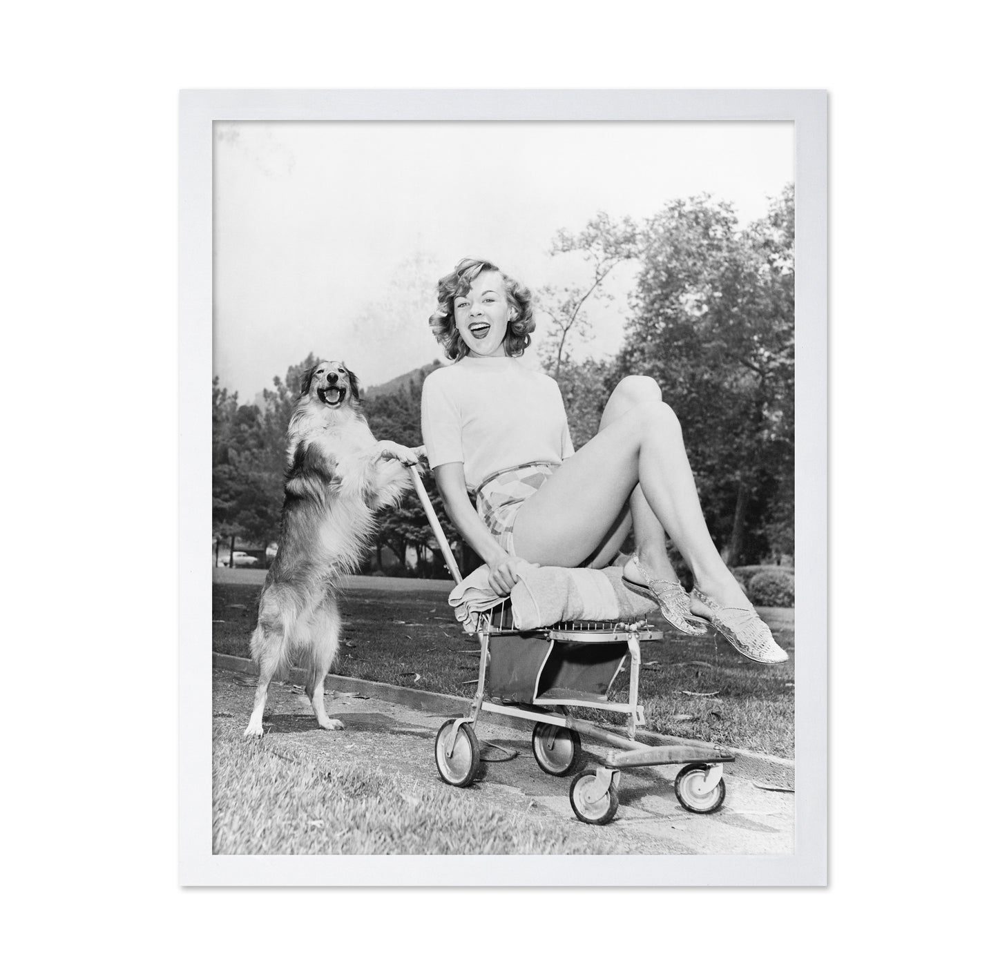 Pushy Pet Dog 1950s
