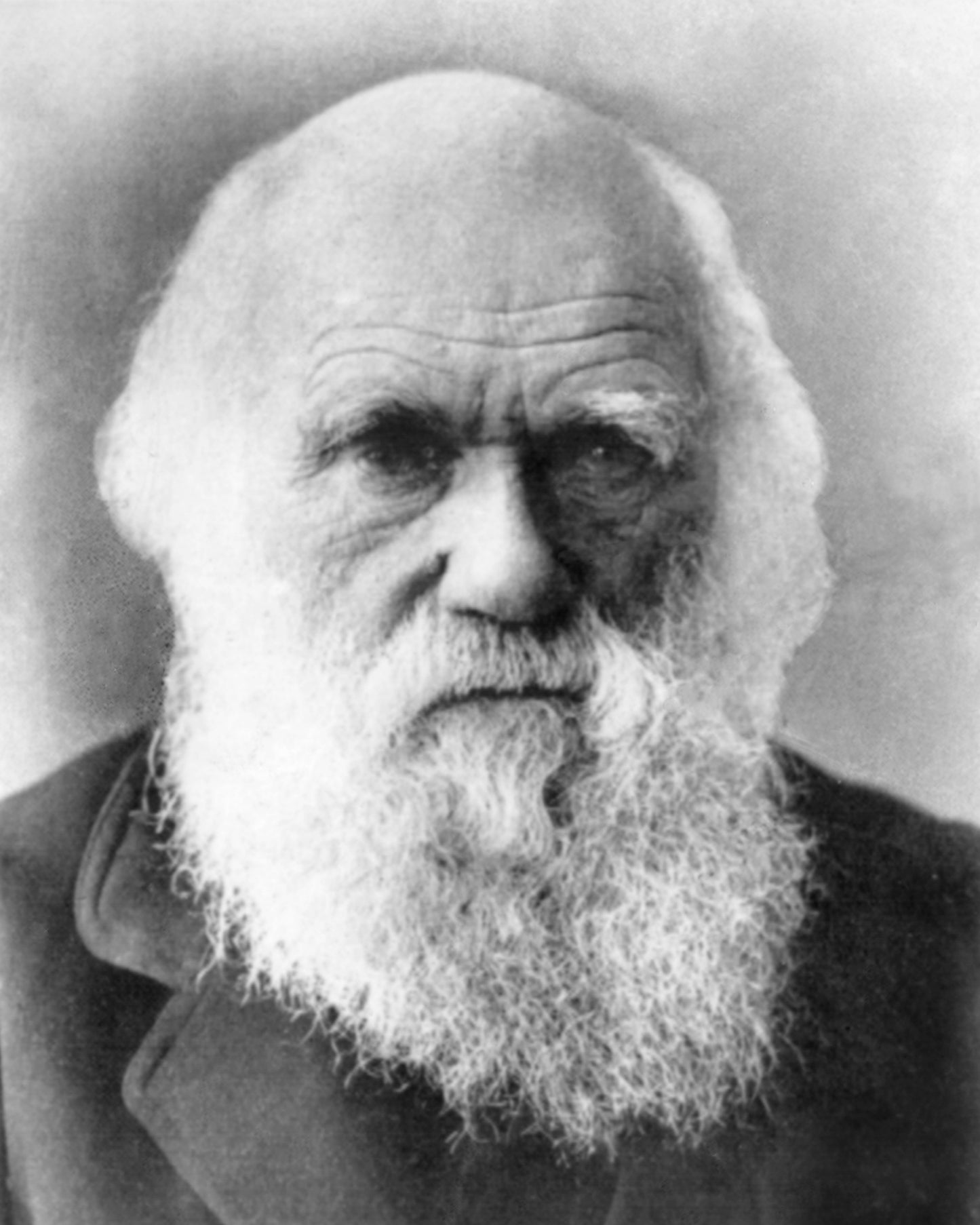 Charles Darwin 1870