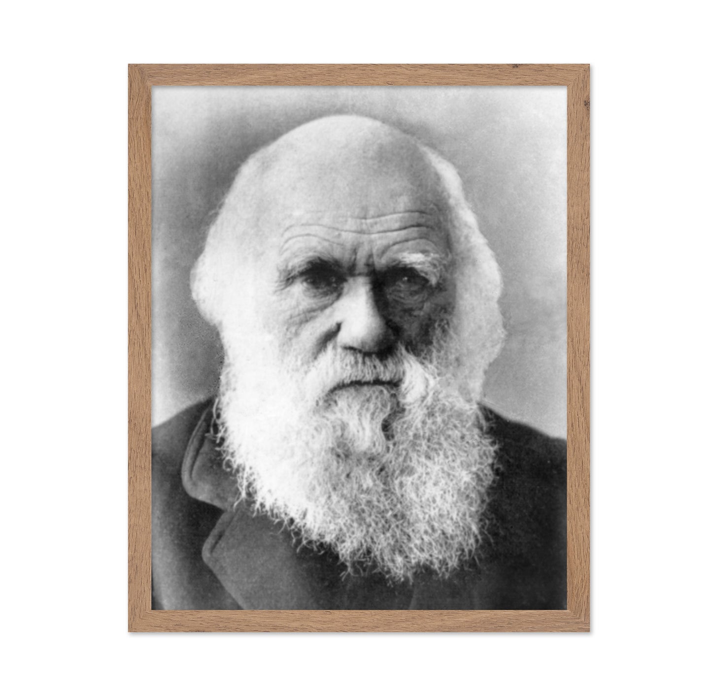 Charles Darwin 1870