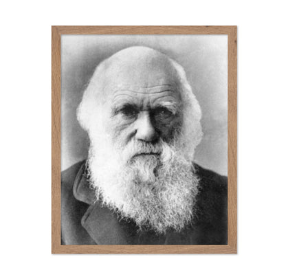 Charles Darwin 1870