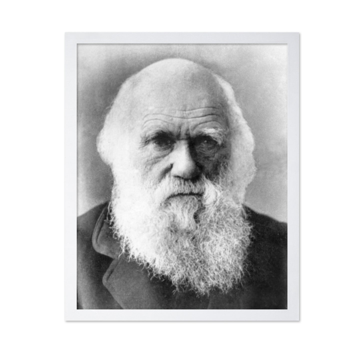 Charles Darwin 1870