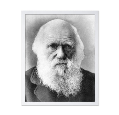 Charles Darwin 1870
