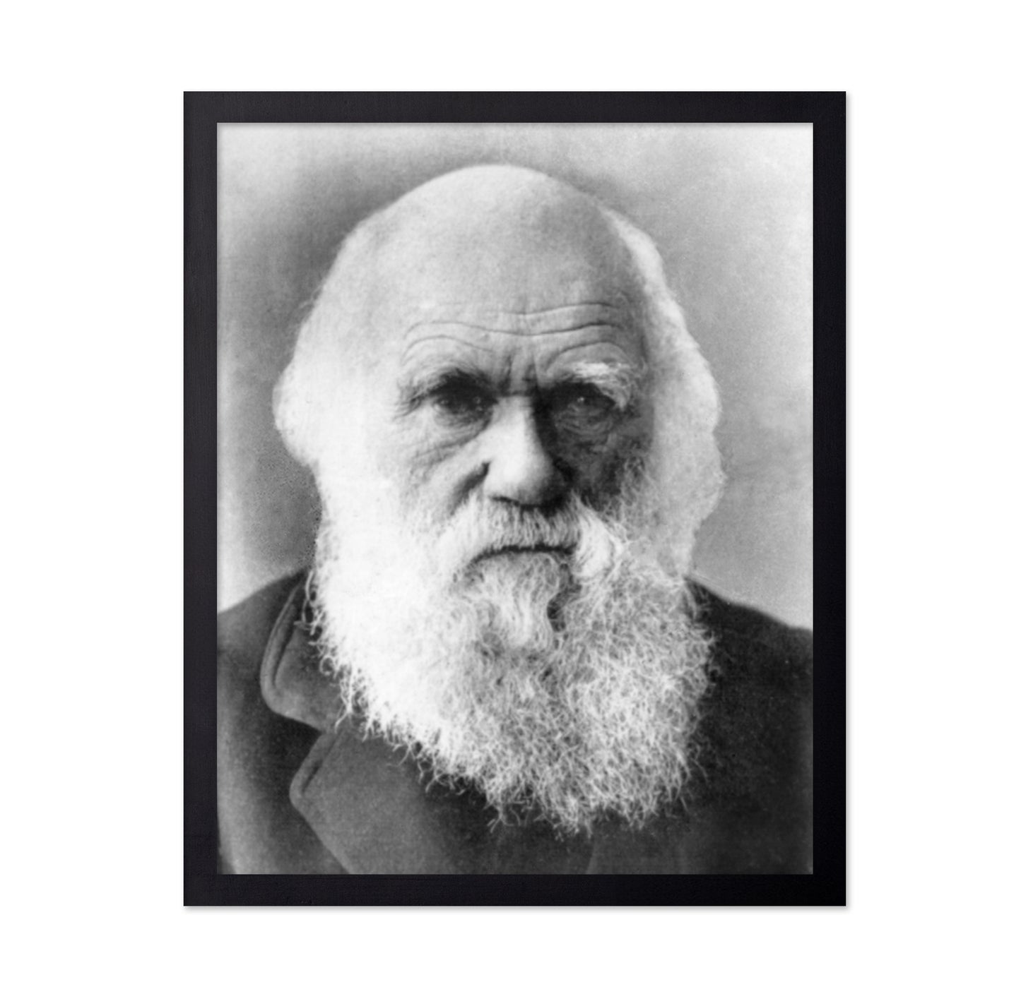 Charles Darwin 1870