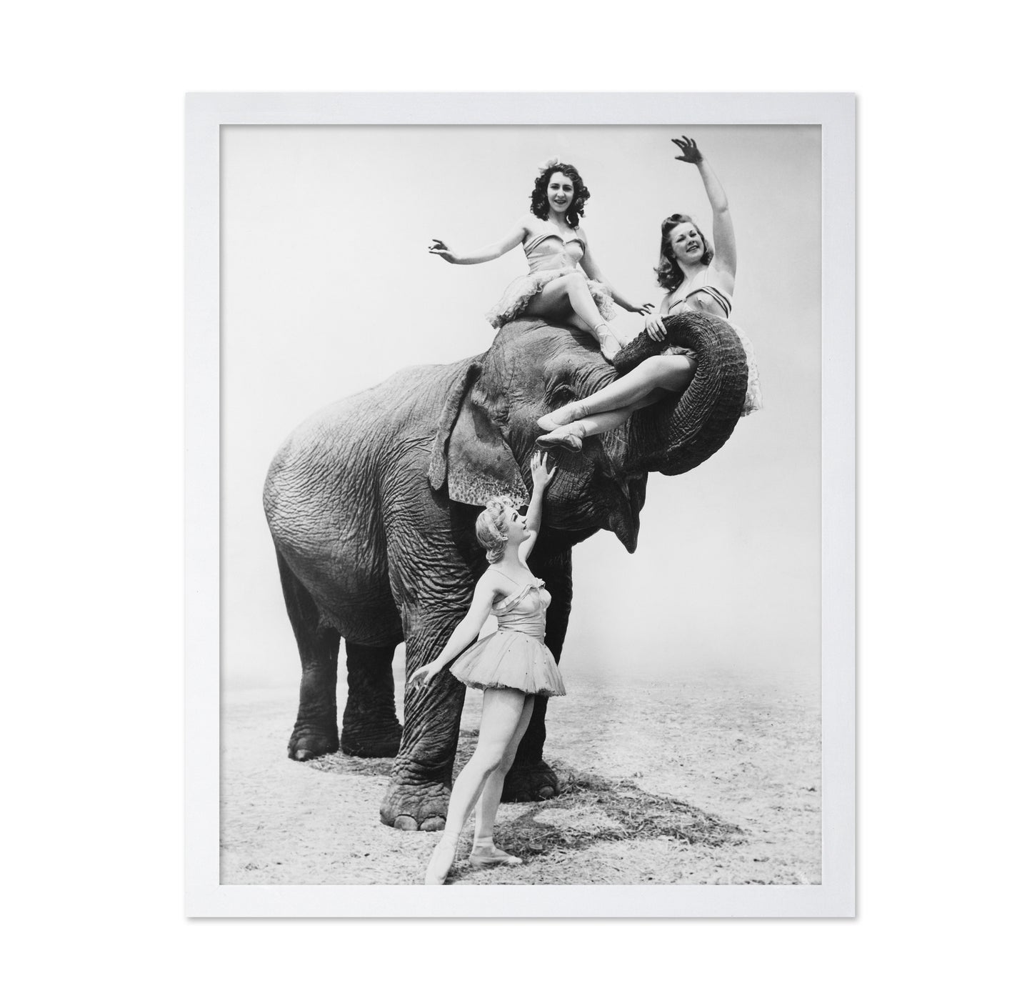 Free Ride Elephant 1930