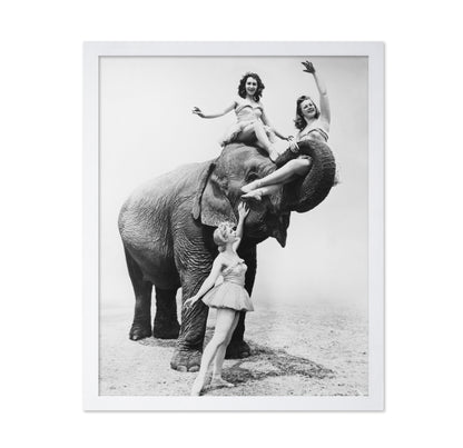 Free Ride Elephant 1930
