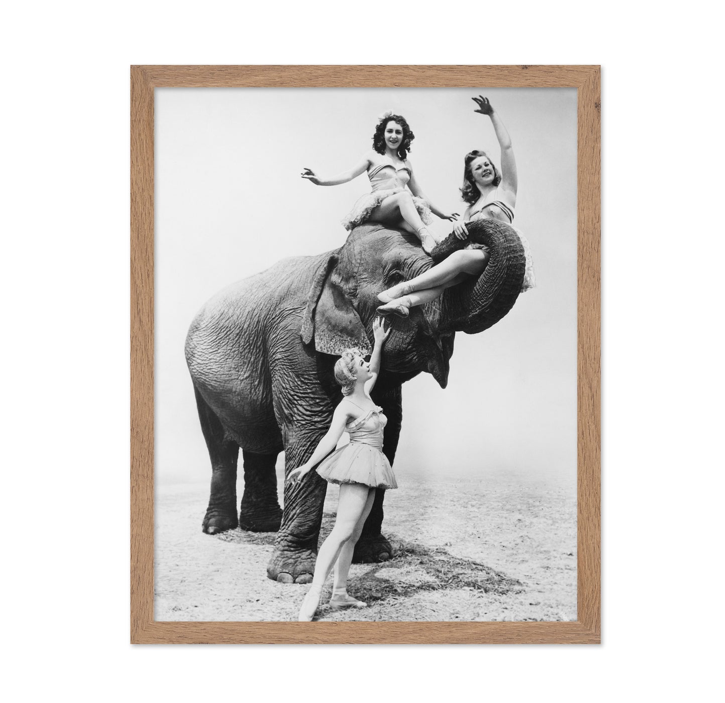 Free Ride Elephant 1930