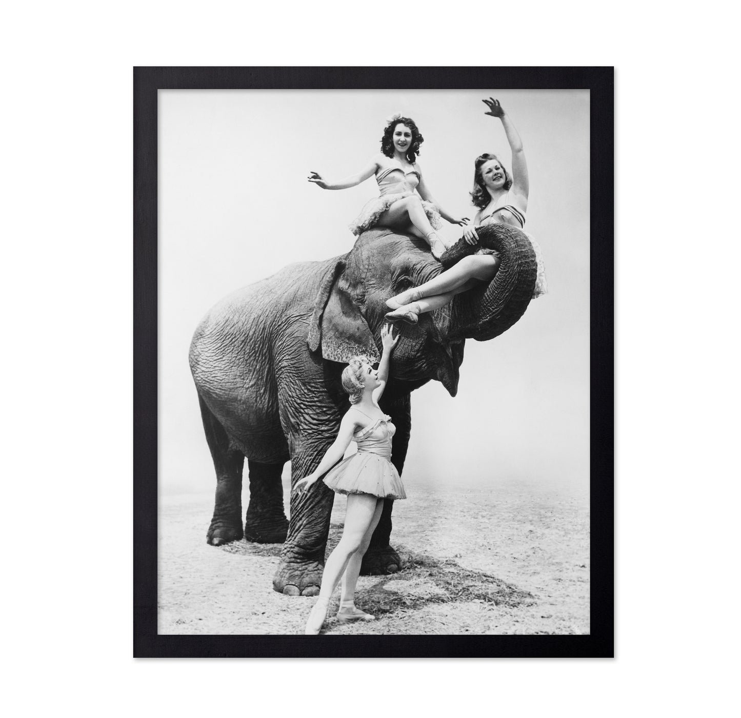 Free Ride Elephant 1930
