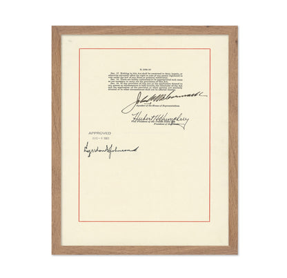 Voting Rights Act 1965